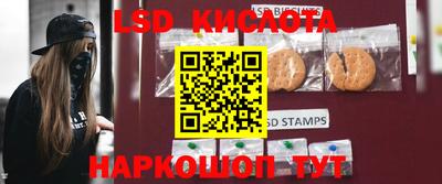 гидропоника Дубна