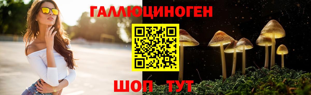 где продают   Вход с VPN  Галлюциногенные грибы Psilocybine cubensis  Лыткарино  Псилоцибиновые грибы прущие грибы 